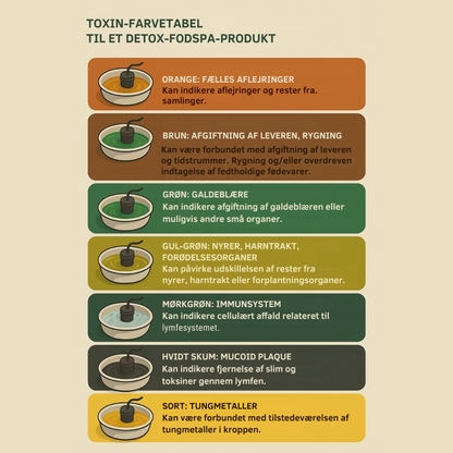 MrFootDetox™ | Rens kroppen – start fra fødderne