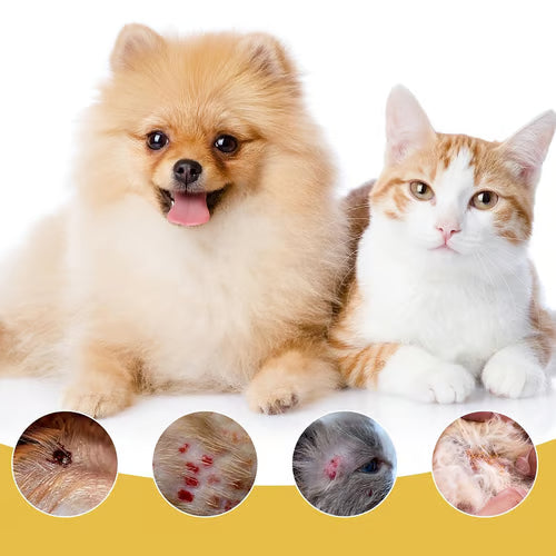 PetCare™ | Stop din hunds kløe på 20 minutter og hel hudproblemer på 7 dage