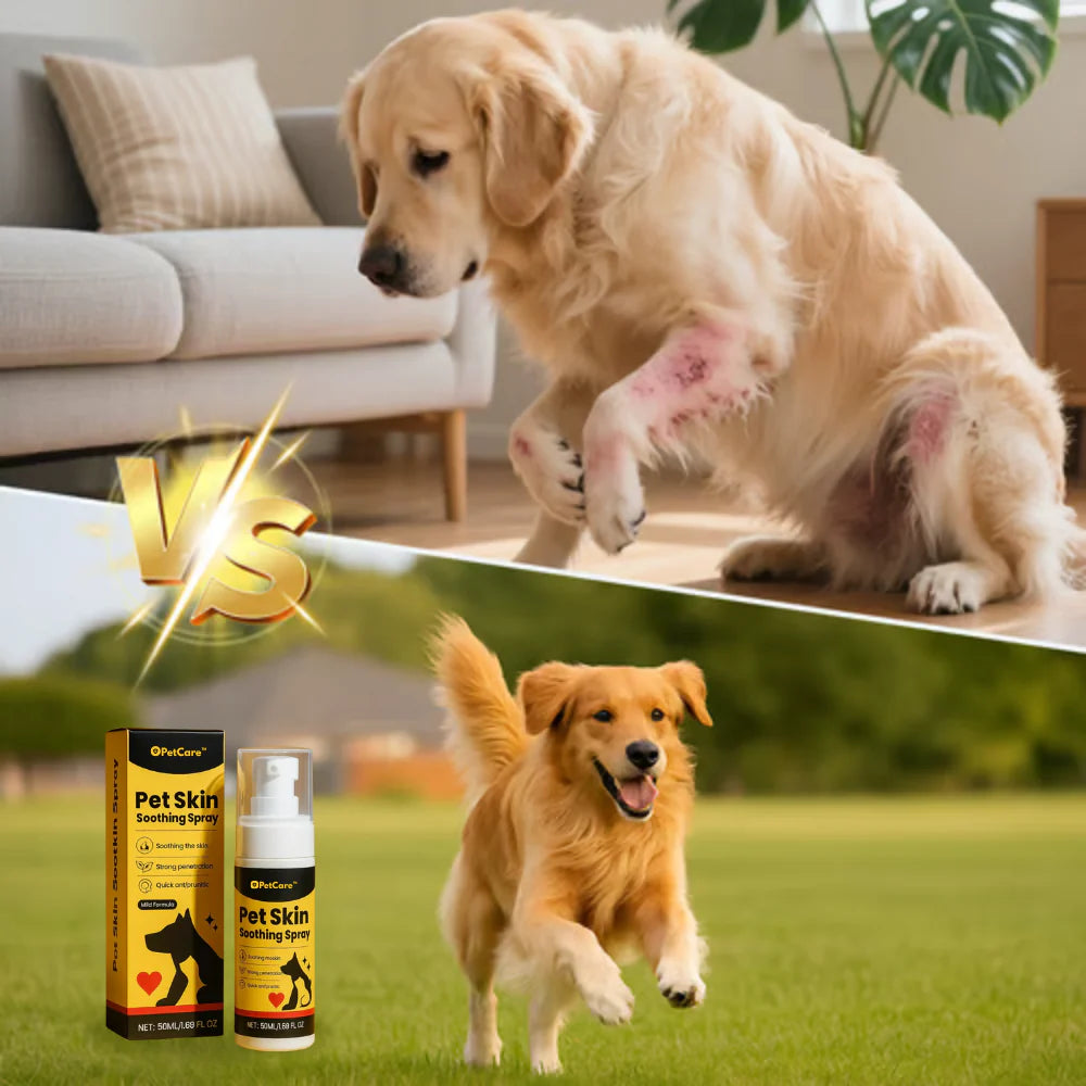 PetCare™ | Stop din hunds kløe på 20 minutter og hel hudproblemer på 7 dage