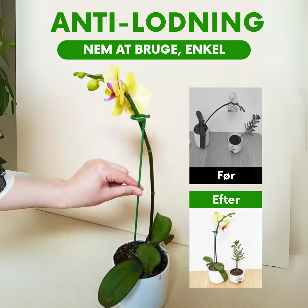 FloraShield - 10 stk. Holdbare Plante Støttebeslag