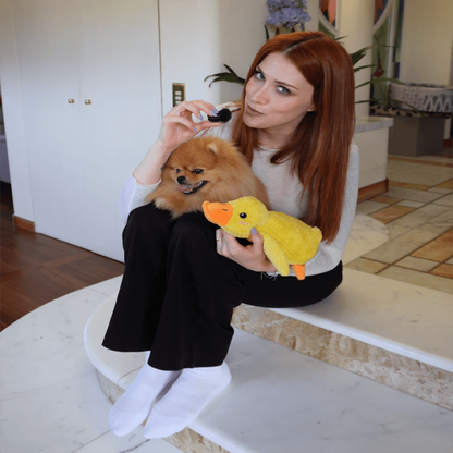 🐾 DoggieQuackPal™ – Sjov og blød ven til din hund