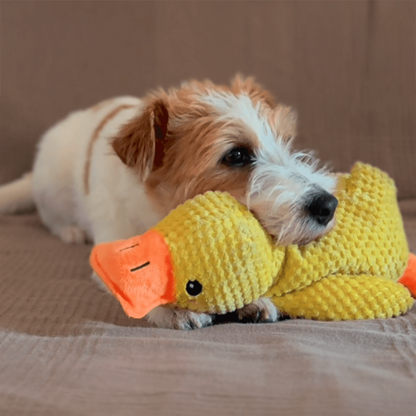 🐾 DoggieQuackPal™ – Sjov og blød ven til din hund