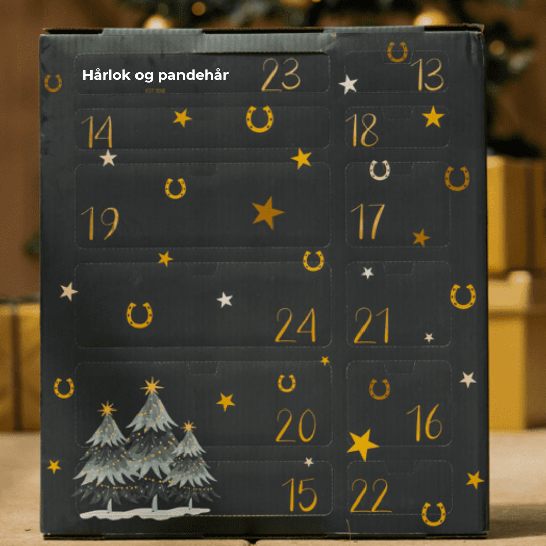 24HorseDays™ – Julens nedtælling for ægte hesteelskere