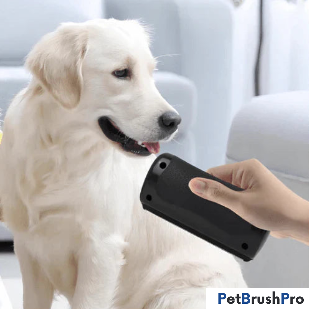 PetBrush™ Pro | Den ultimative hundebørste mod fældning og lopper