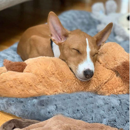 SnugPup™ - Lindrer stress og hjælper med angst