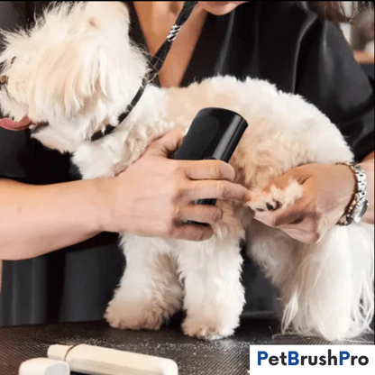 PetBrush™ Pro | Den ultimative hundebørste mod fældning og lopper