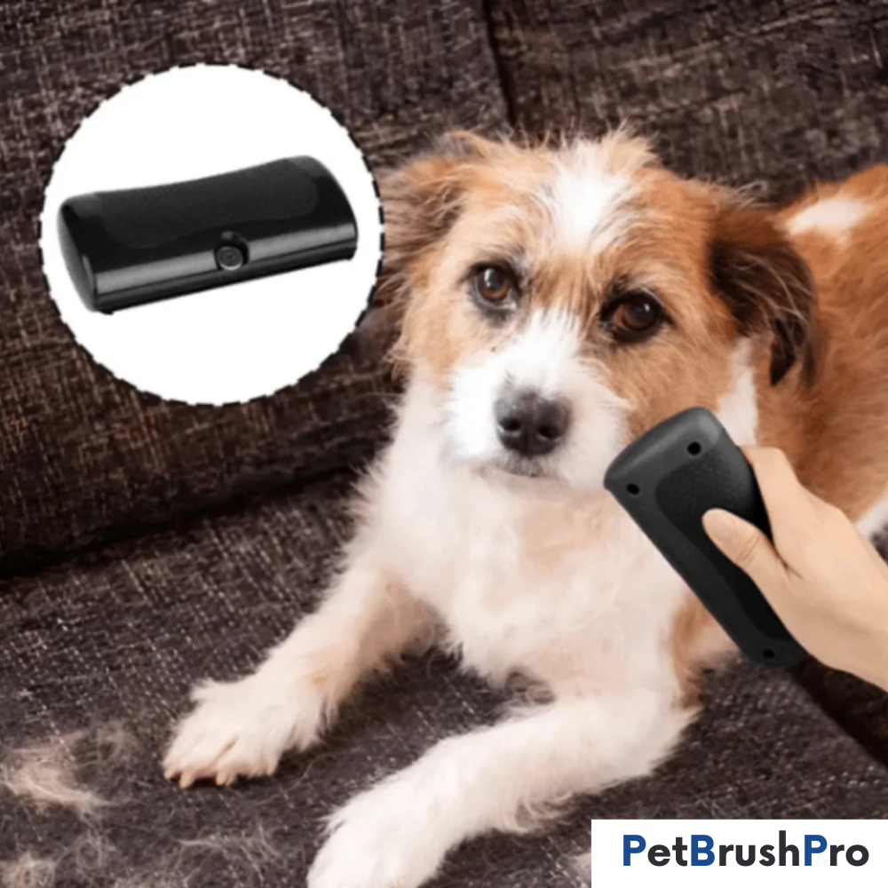 PetBrush™ Pro | Den ultimative hundebørste mod fældning og lopper