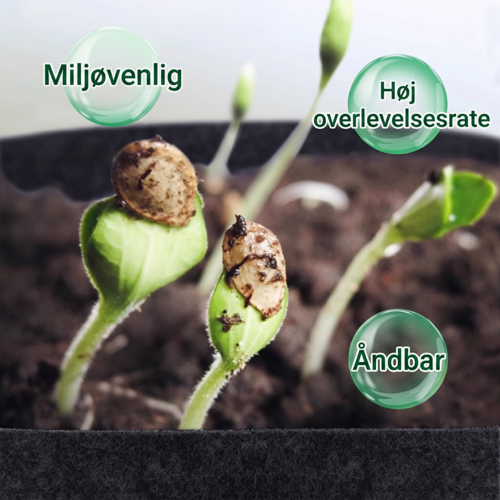 EcoSprout™ – Genanvendelige Planteposer i Geotekstil