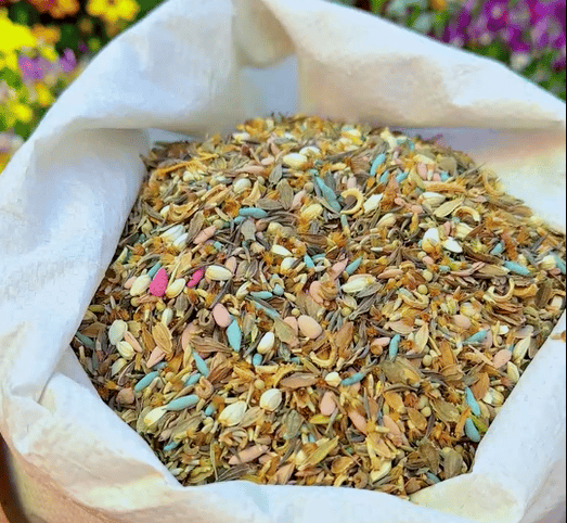 Farverig frøblanding – over 60 sorter (1000 frø)