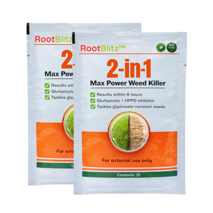 RootBlitz
