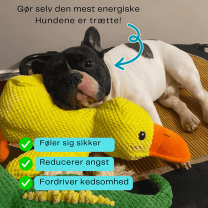 🐾 DoggieQuackPal™ – Sjov og blød ven til din hund