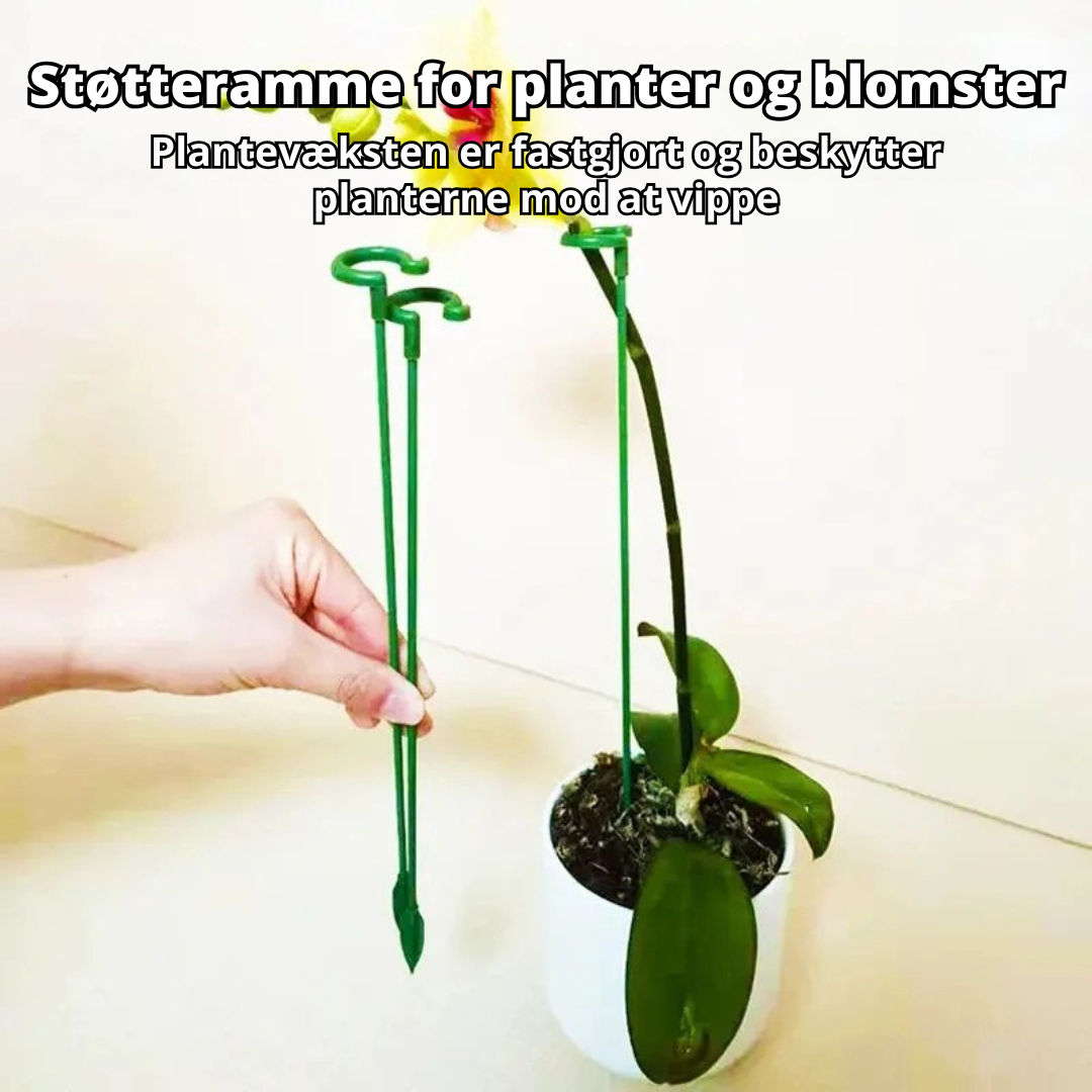 FloraShield - 10 stk. Holdbare Plante Støttebeslag