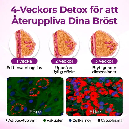 KurvKraft™ – Opstrammende & Volumengivende Brystolie