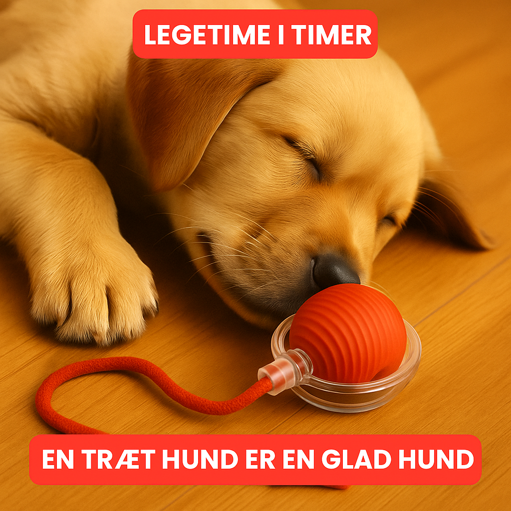 NovaBall™ | Den smarte måde at berolige din hund naturligt