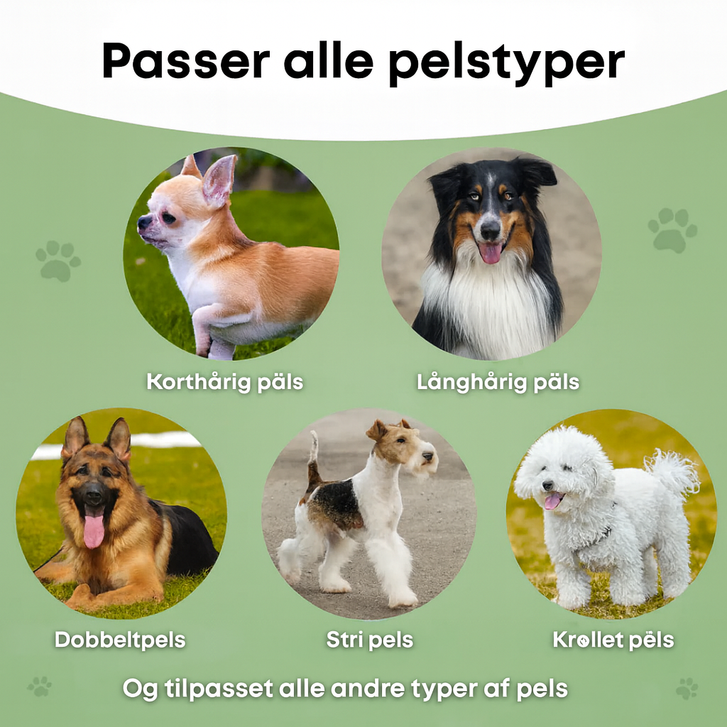Nova DoggyBrush™ – Skånsom Pleje, Renere Hjem