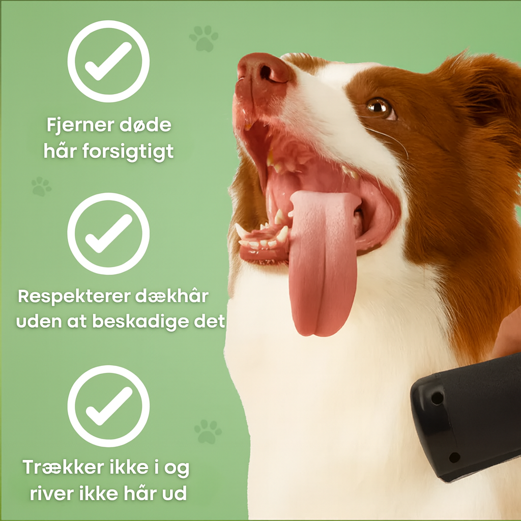 Nova DoggyBrush™ – Skånsom Pleje, Renere Hjem