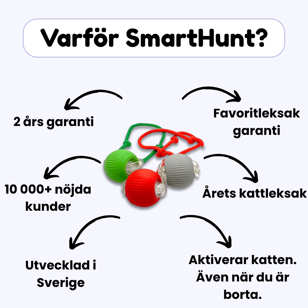 SmartHuntBall™ –Smart, selvkørende og kåret til Årets Kattelegetøj 2024