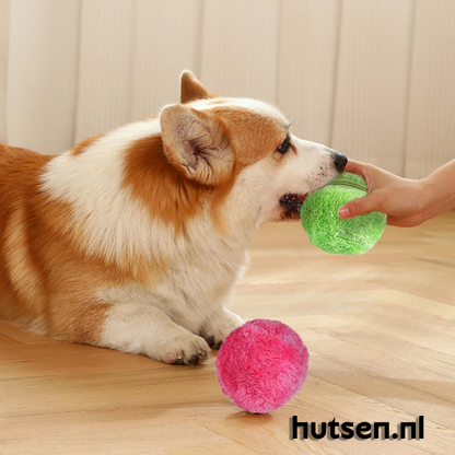 DogFri™ ActiveBall – Anti-angst Automatisk Rullende Bold