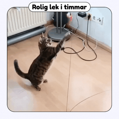 Swiftie™ – Får din kat til at føle sig som en jæger igen