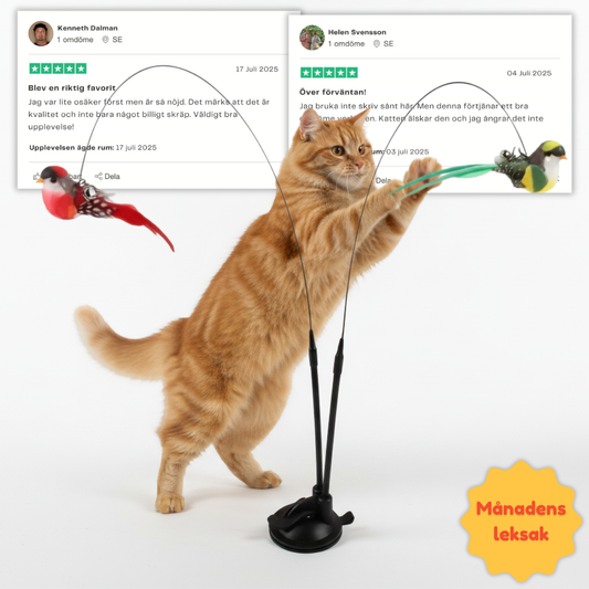 Swiftie™ – Får din kat til at føle sig som en jæger igen