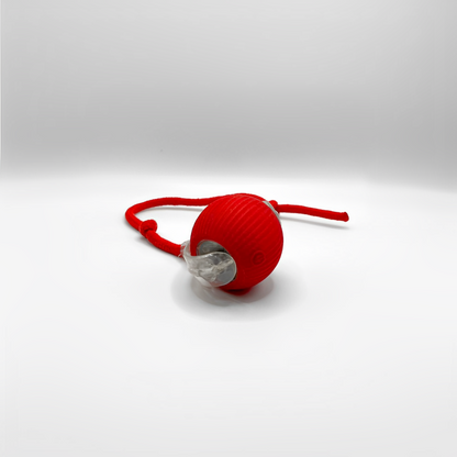 SmartHuntBall™ –Smart, selvkørende og kåret til Årets Kattelegetøj 2024