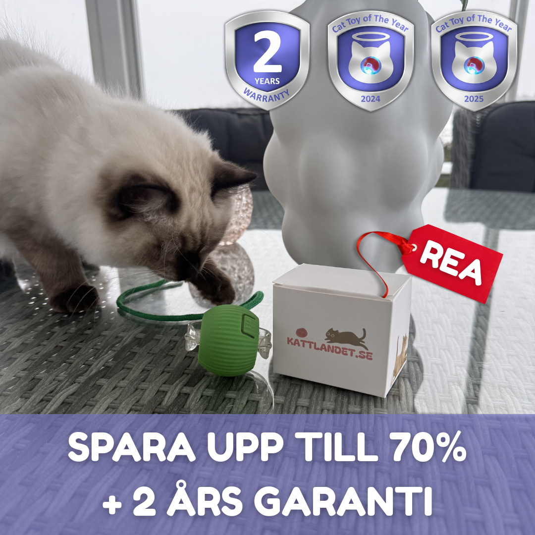 SmartHuntBall™ –Smart, selvkørende og kåret til Årets Kattelegetøj 2024
