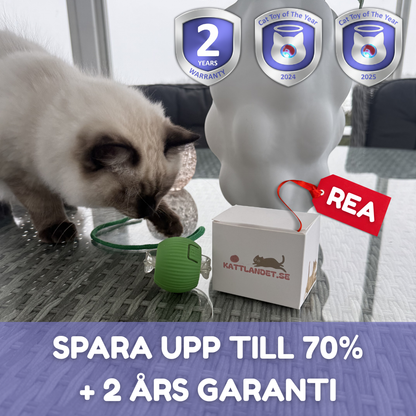 SmartHuntBall™ –Smart, selvkørende og kåret til Årets Kattelegetøj 2024