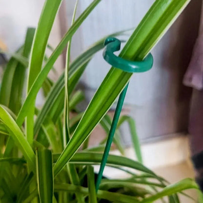FloraShield - 10 stk. Holdbare Plante Støttebeslag