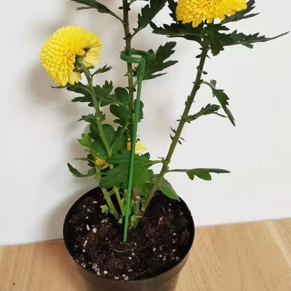 FloraShield - 10 stk. Holdbare Plante Støttebeslag
