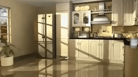 Pest Guard Pro™ | Protects your home from pests