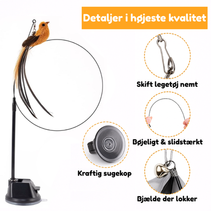 Purrbue – Aktiverer din kat på ingen tid