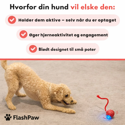 FlashPaw™™ - Speedy Tail 2.0