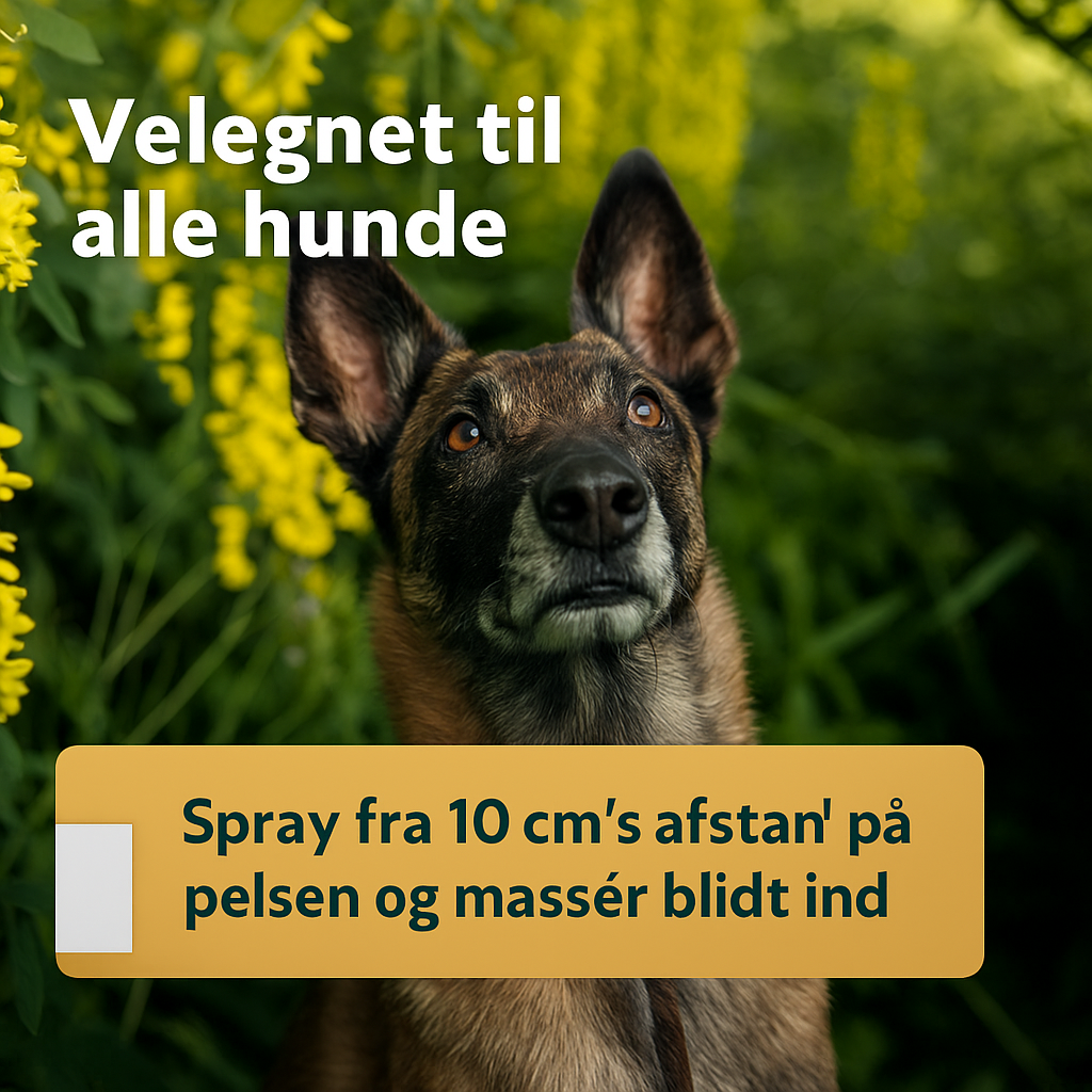 Anti-Parasit Loppemiddel og Flåtmiddel | Beskyt din hund mod parasitter | 100 ml