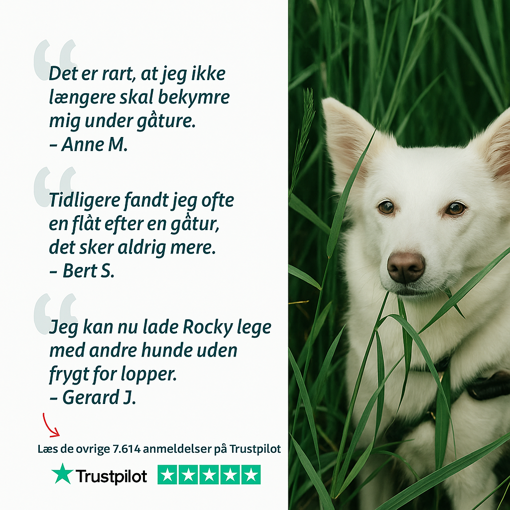 Anti-Parasit Loppemiddel og Flåtmiddel | Beskyt din hund mod parasitter | 100 ml