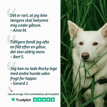 Anti-Parasit Loppemiddel og Flåtmiddel | Beskyt din hund mod parasitter | 100 ml