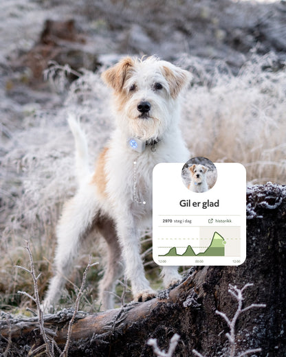 Lildog GPS-tracker