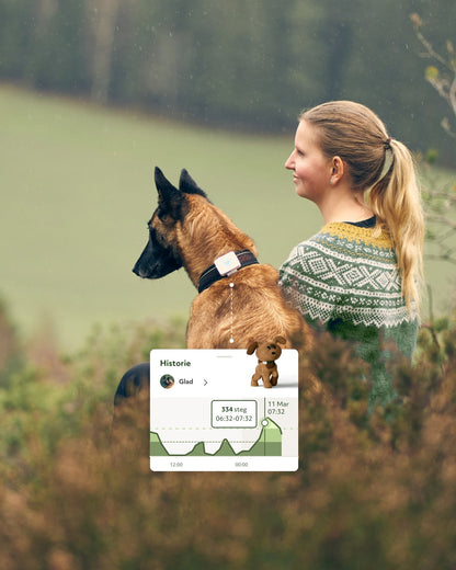 Lildog GPS-tracker