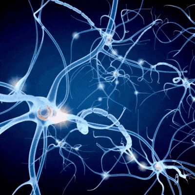 NeuroPuls™ creme | Eliminer følelsesløshed, prikken og smerte med op til 92 % på kun 4 dage!