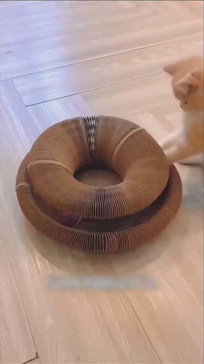 Whirlipuff™ – leksaken som håller din katt aktiv och glad