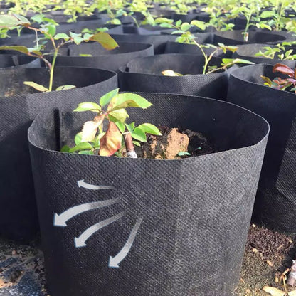 EcoSprout™ – Genanvendelige Planteposer i Geotekstil