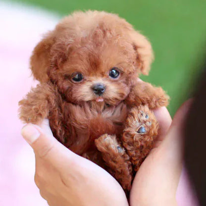 FluffPuppyToy™ | Den søde hundehvalp uden besvær